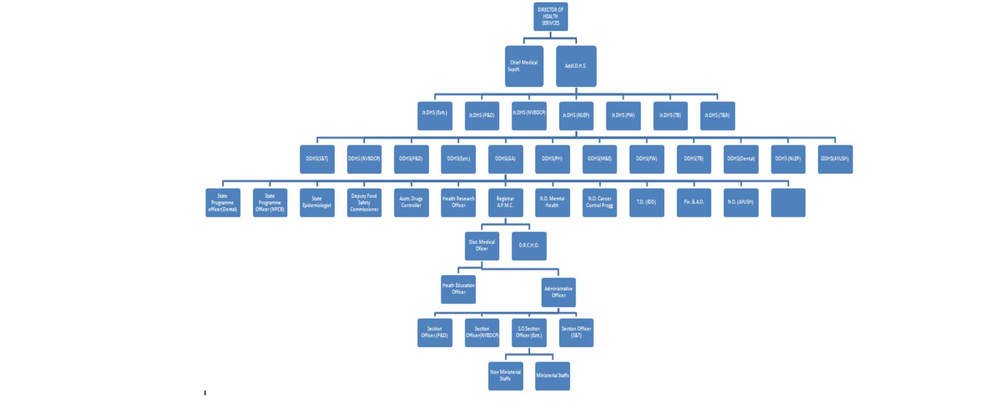 Organizational Chart